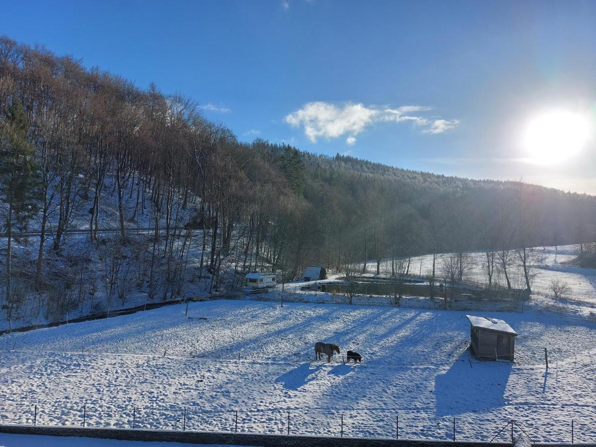 Ferienwohnung Zum Kuehlen Grund Eimelrod Esterno foto